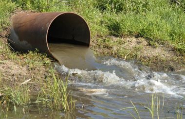 sewage.jpg